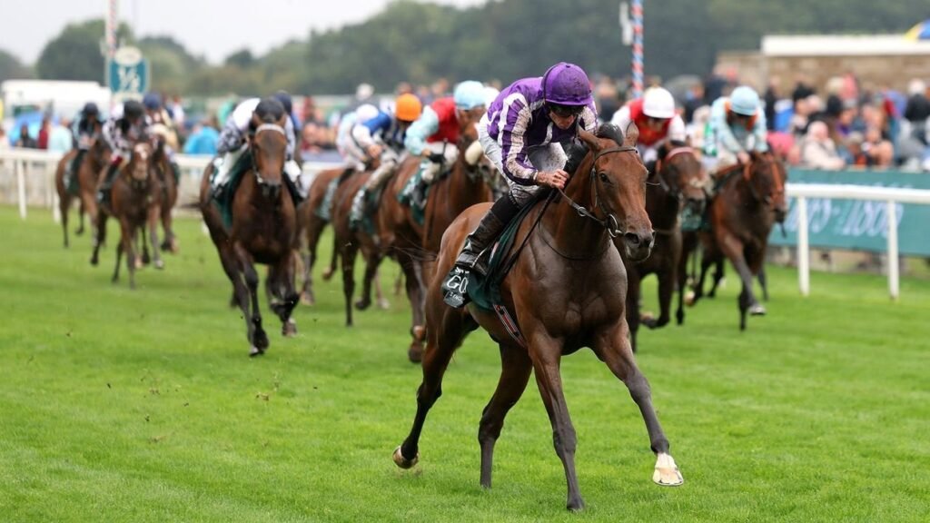 Horse race at a UK racecourse, with a jockey in purple silks leading the field