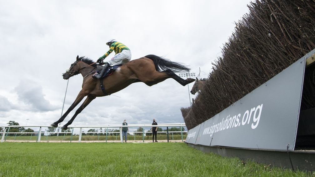 Horse and jockey clearing a fence during a jumps race